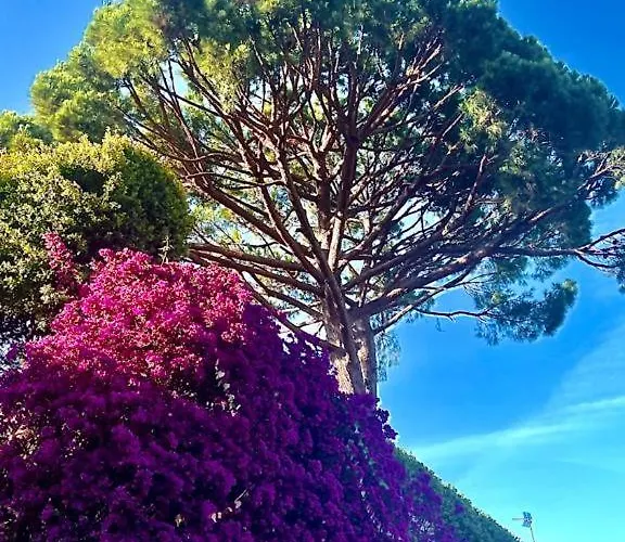 别墅 Lets Holidays Lovely Garden House In Mar Menuda