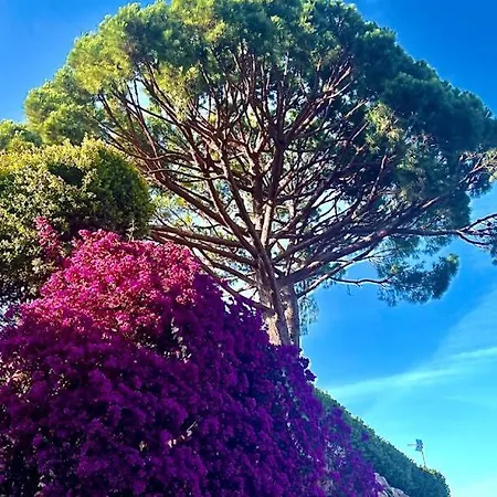 וילה Lets Holidays Lovely Garden House In Mar Menuda